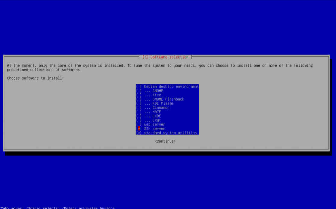 Debian netinst software selection